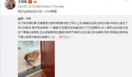 感恩哥最新直播爆料新闻,最新热点事件幕后真相